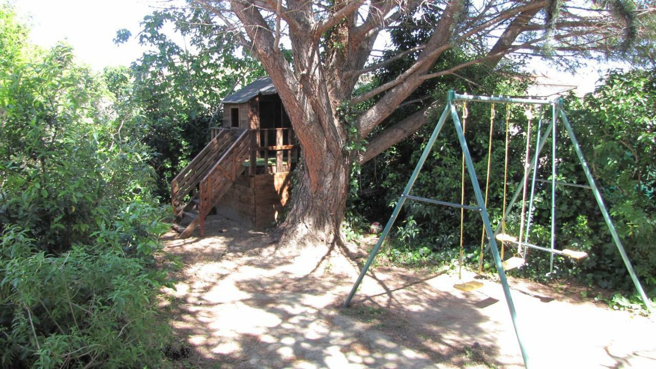 Appartement Location saisonnière à Coursan Extérieur photo